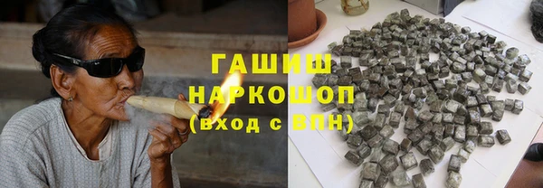 индика Аркадак