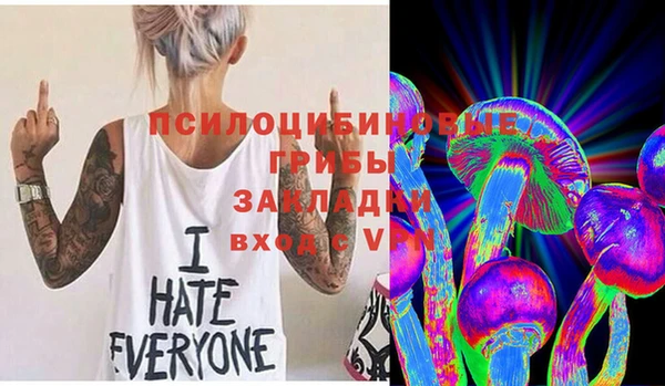 индика Аркадак