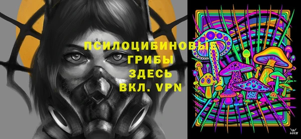 индика Аркадак
