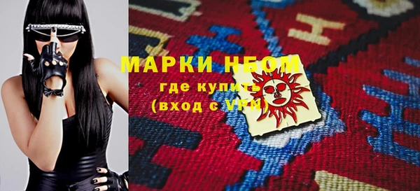 индика Аркадак