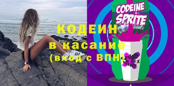 индика Аркадак