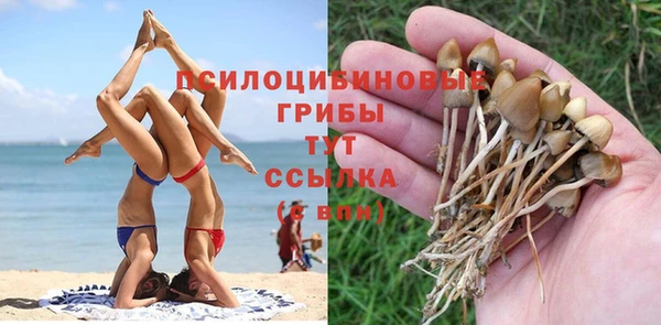 герыч Арсеньев
