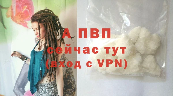 индика Аркадак