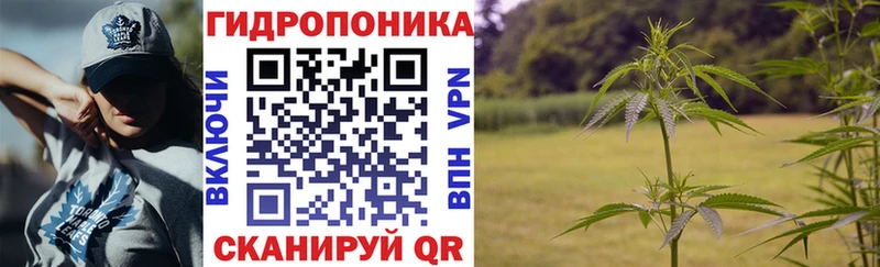 Шишки марихуана конопля  Барабинск 